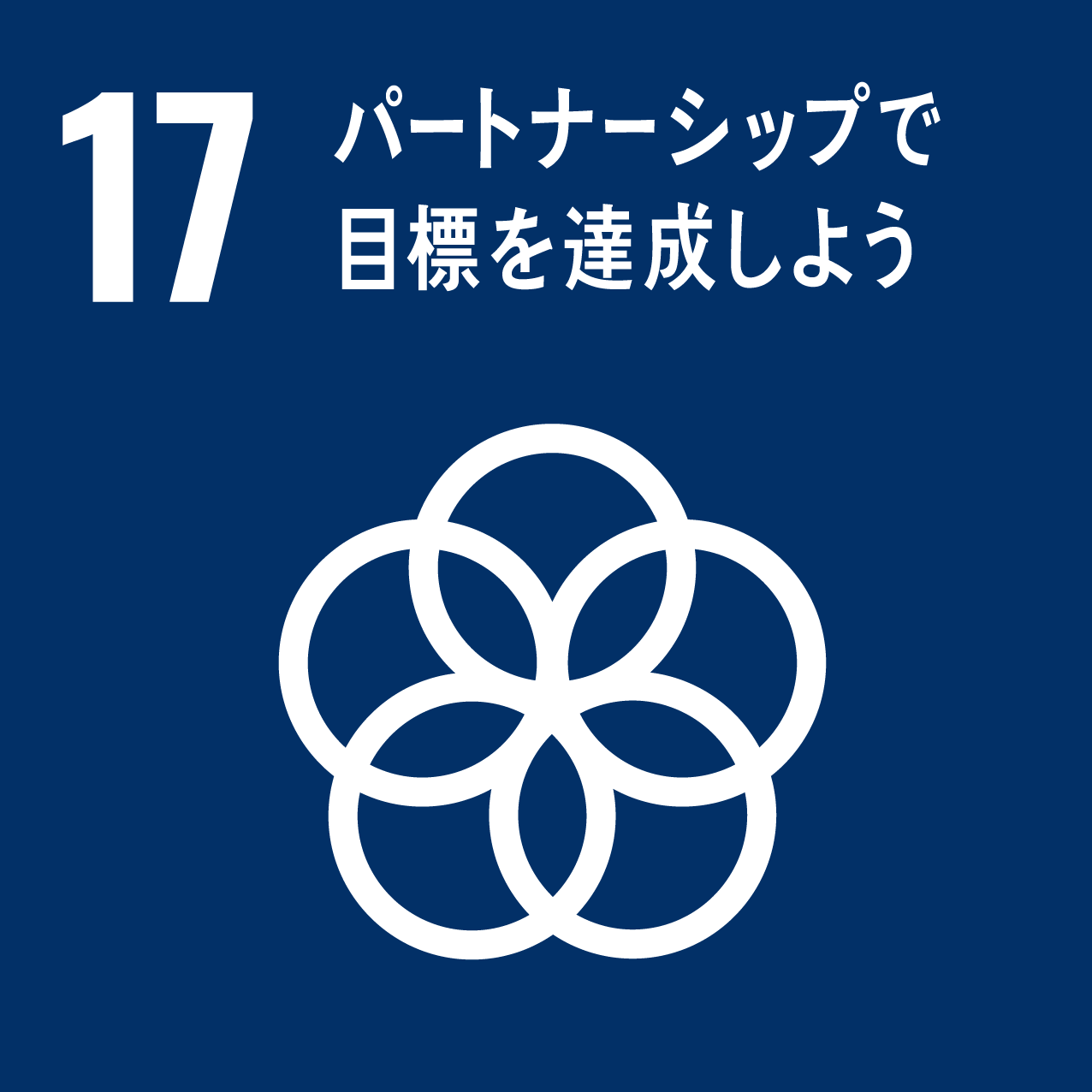 sdg_icon_17.png