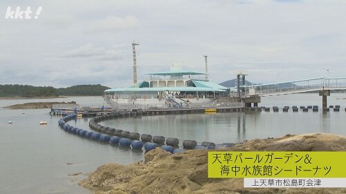 0802くまもん6.jpg