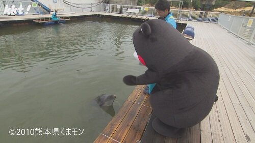 0802くまもん3.jpg