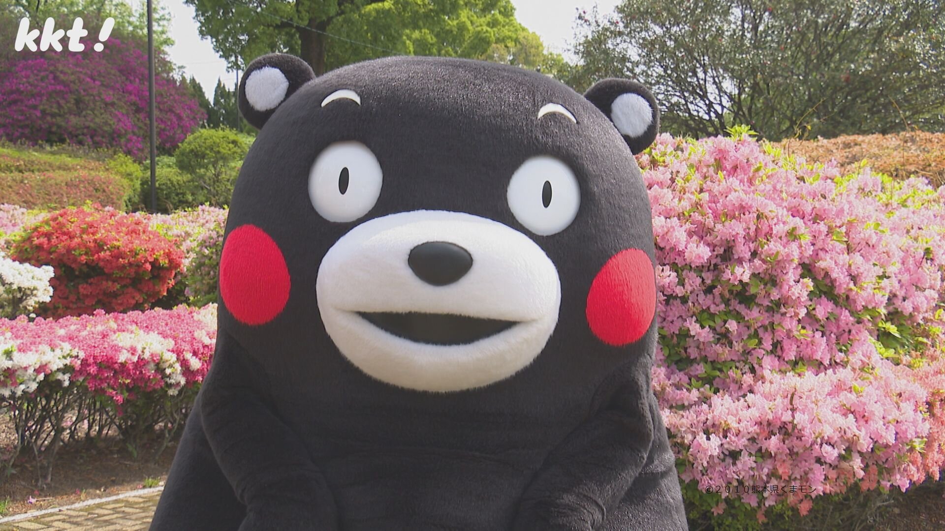 菊池郡に行ってきたモン!