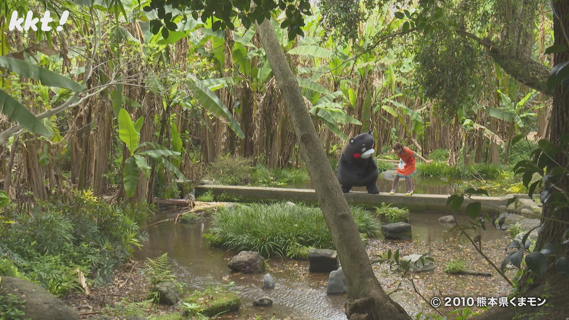 東区・江津湖界わい！