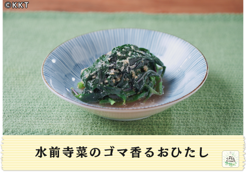 水前寺菜のゴマ香るおひたし