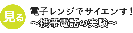 電子レンジでサイエンす！～携帯電話の実験～