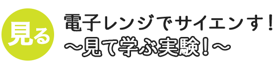 電子レンジでサイエンす！～見て学ぶ実験！～