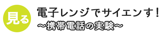 電子レンジでサイエンす！～携帯電話の実験～