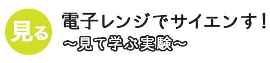 電子レンジでサイエンす！～見て学ぶ実験！～