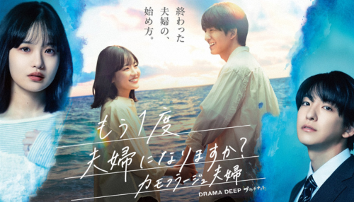 もう1度夫婦になりますか？～カモフラージュ夫婦～