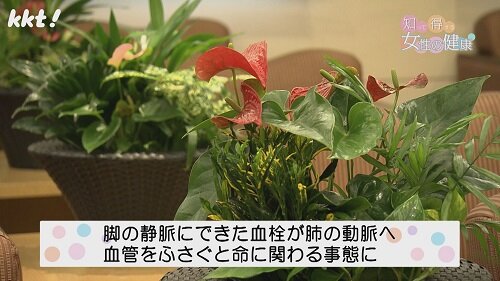 0909知っトク6.jpg