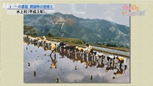 0617知っ得4.jpg