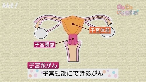 1216知っ得1.jpg
