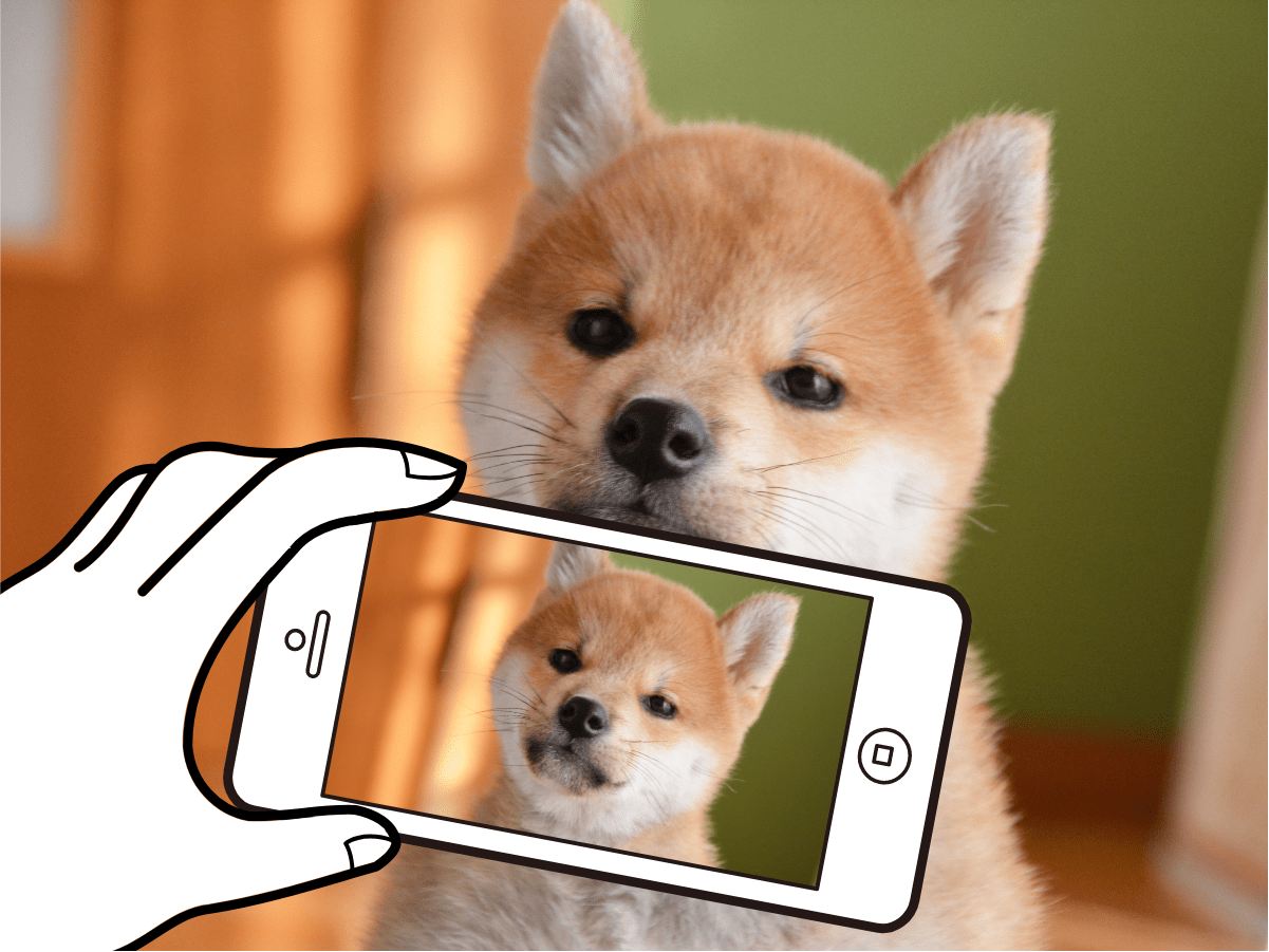 動画の撮り方