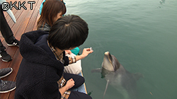 1月25日(土) 放送