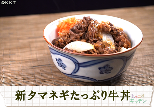 新タマネギたっぷり牛丼