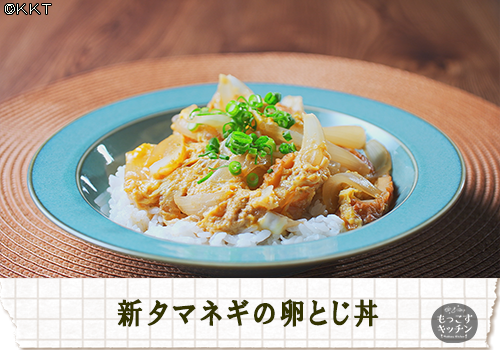 新タマネギの卵とじ丼