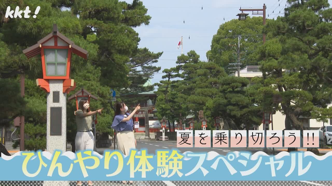 熊本の夏を乗り切る！ひんやり体験スペシャル