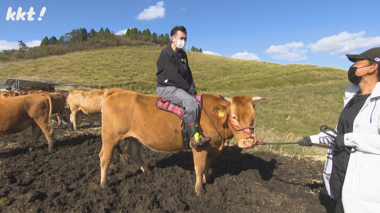 牛に乗る_N.jpg