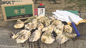てれビタ Kkt熊本県民テレビ てれビタ Kkt熊本県民テレビ