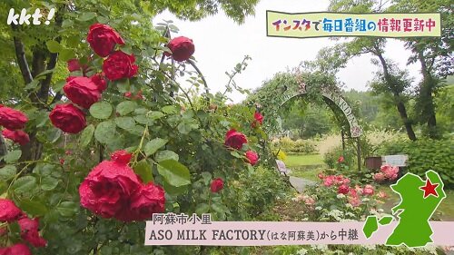 ASO MILK FACTORY(はな阿蘇美)