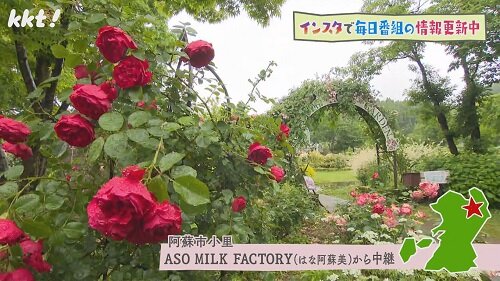 ASO MILK FACTORY（はな阿蘇美）