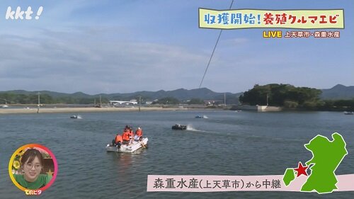 くるまえびラボ　森重水産　