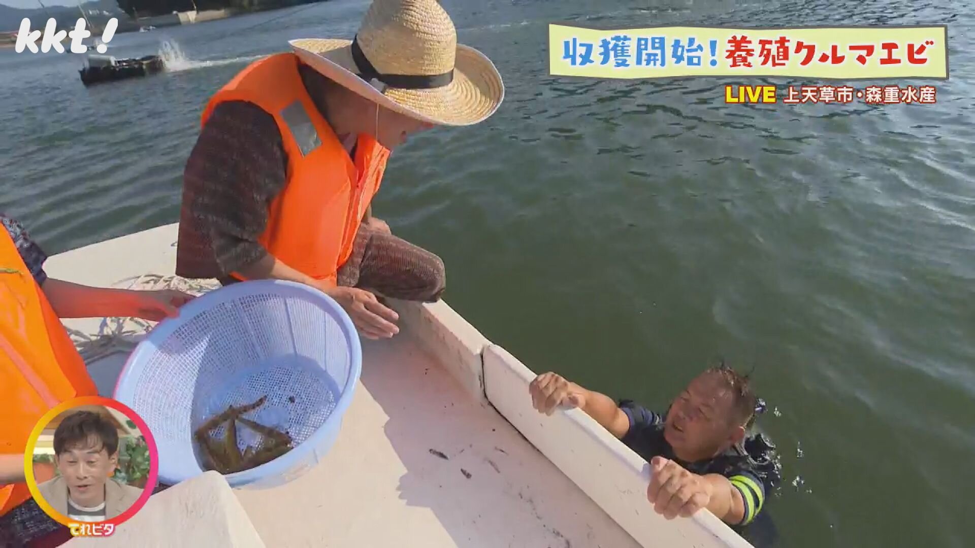 熊本発祥！車エビの養殖場