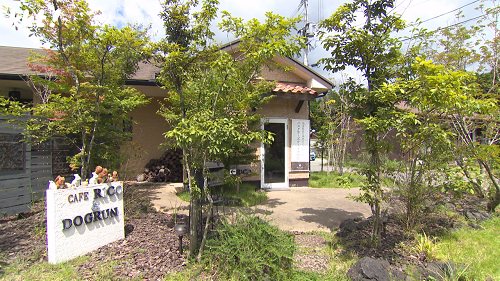 バスクチーズケーキ専門店RICO