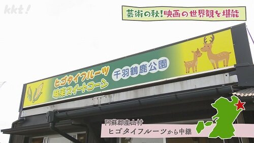 ヒゴタイフルーツ