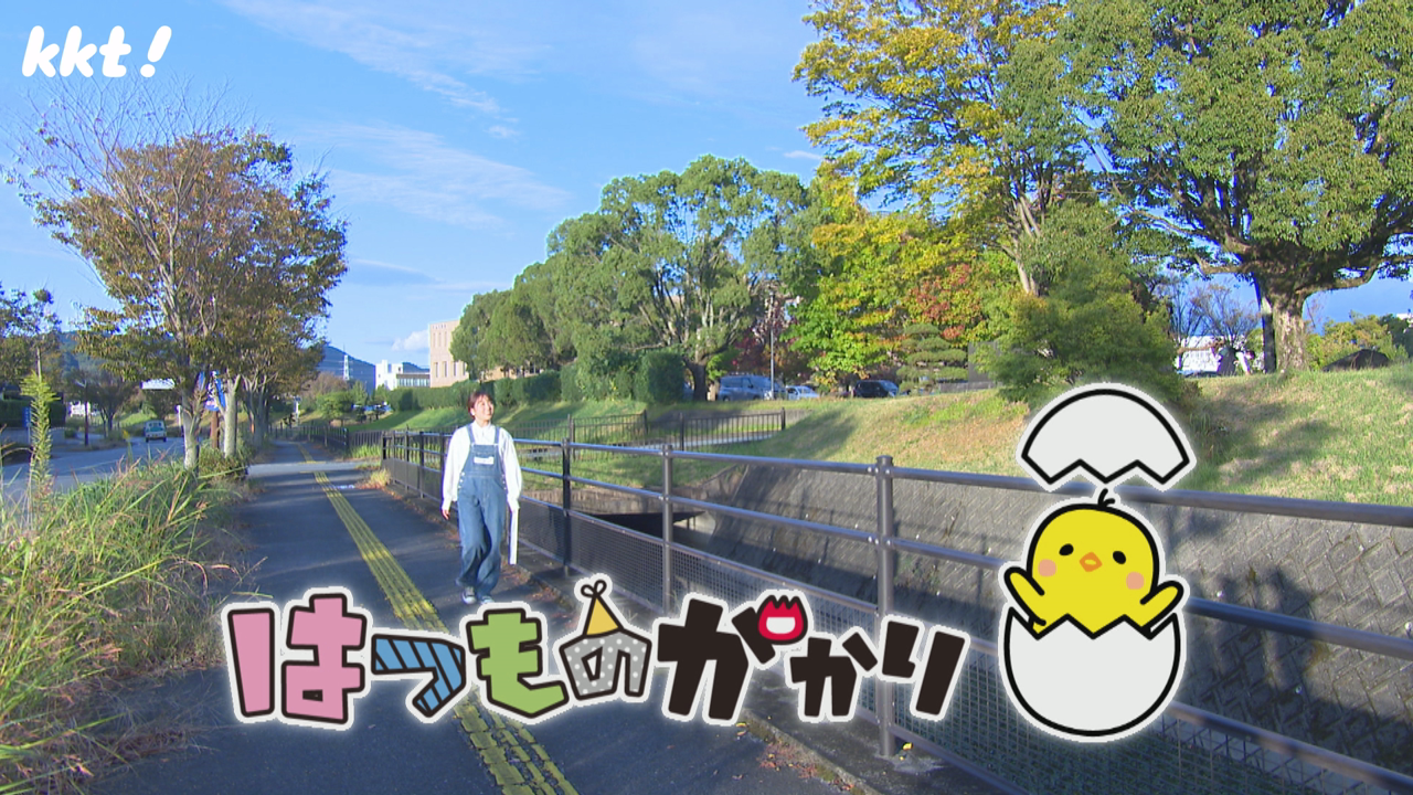 はつものがかり 宇城市中心部編