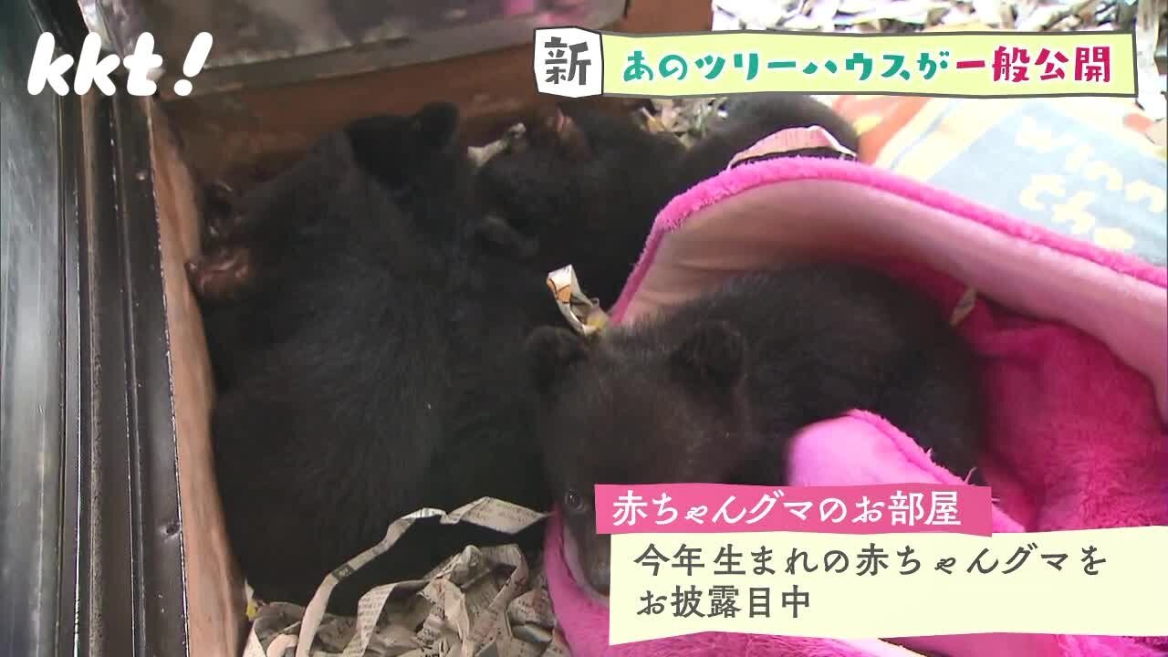 220511中継8.jpg