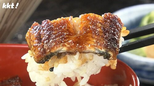 縲食P逕ｨ縲曾unagi_05_N.jpg