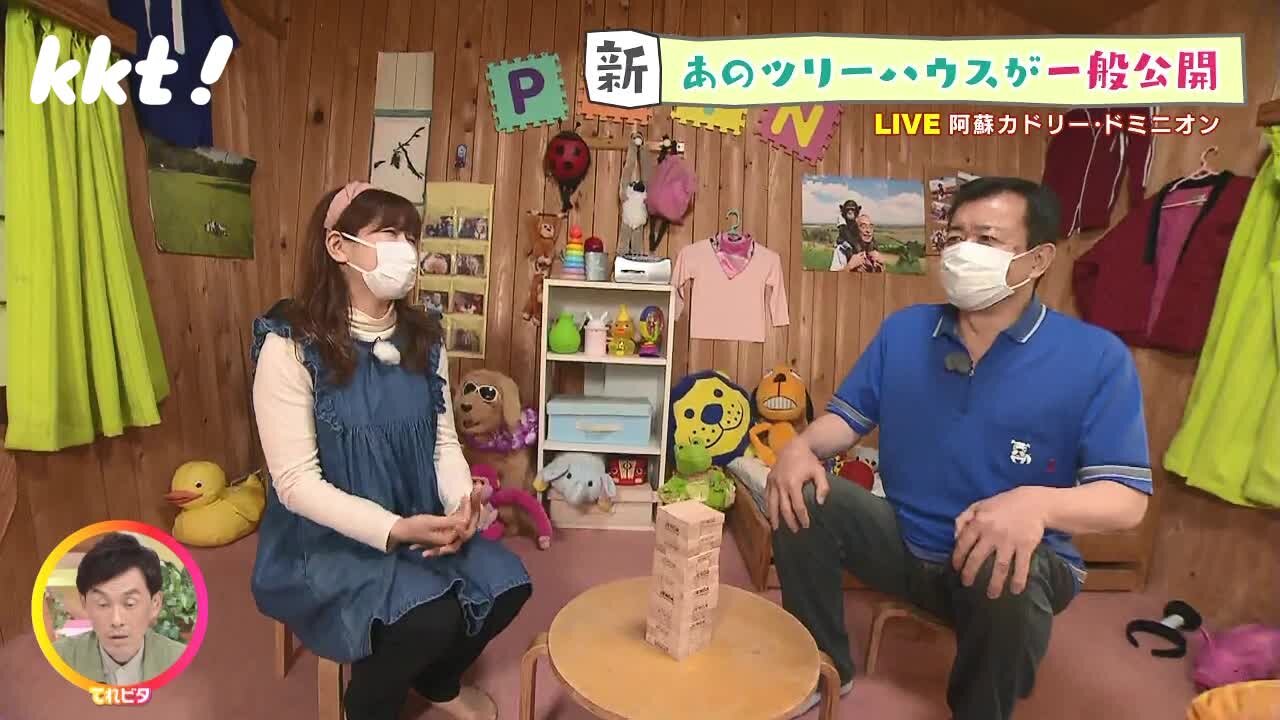 【新】あのツリーハウスが一般公開！