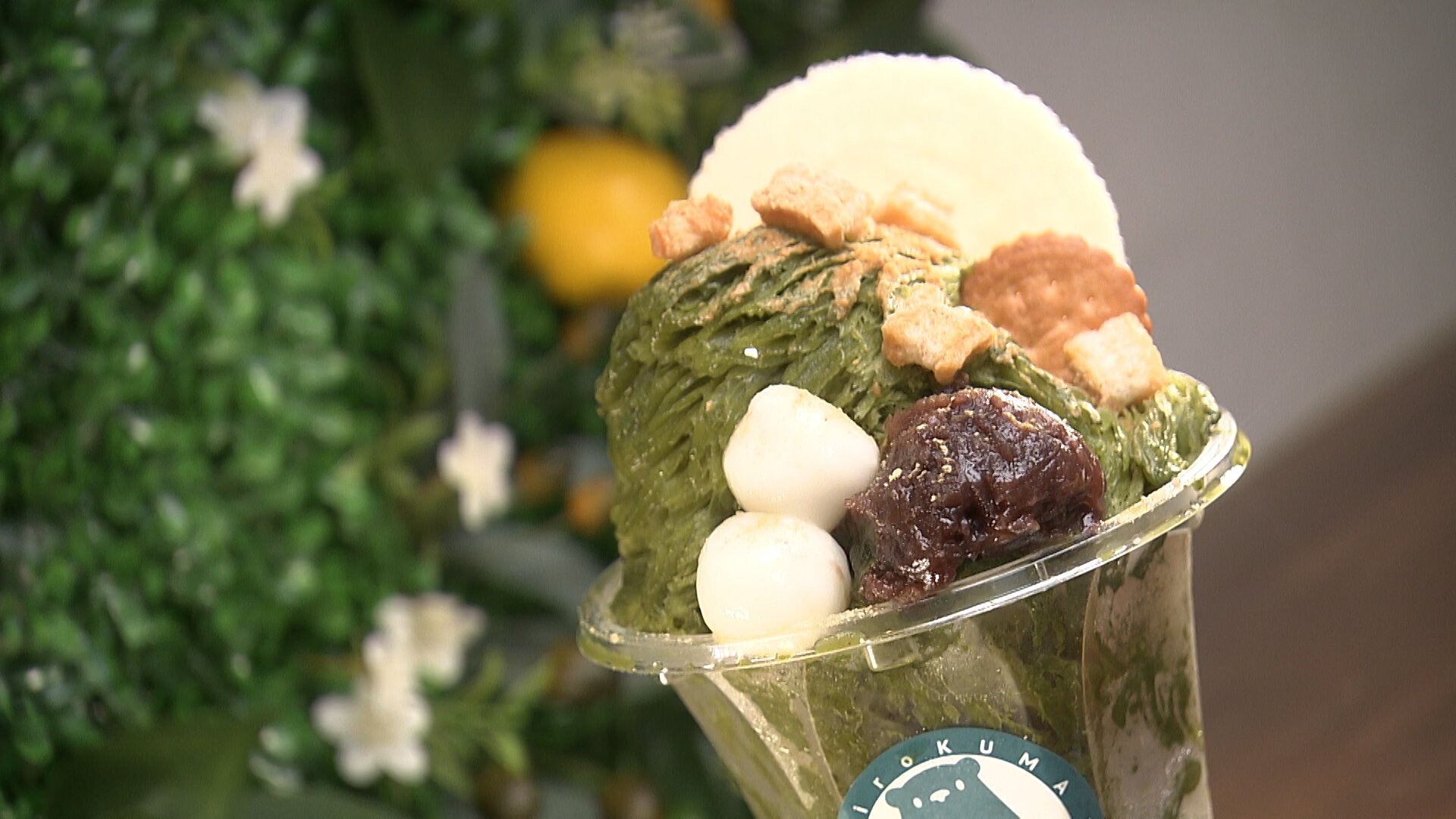 てれビタ Kkt熊本県民テレビ