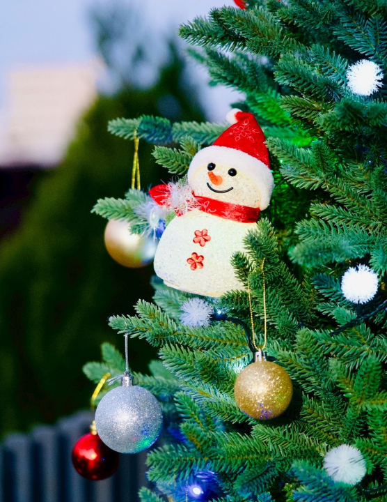 ZIP！HP　キャスターブログ用写真 - コピー.png