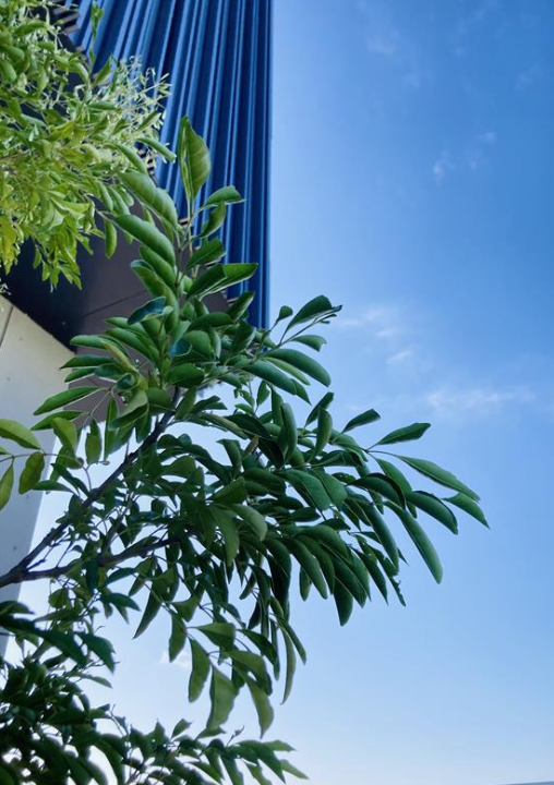 ZIP！HP　キャスターブログ用写真 - コピー.png