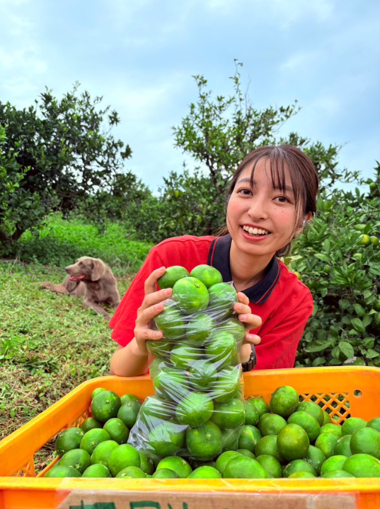 ZIP！HP　キャスターブログ用写真 - コピー.png