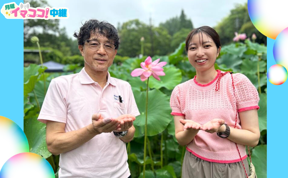山鹿市鹿央町の「古代ハス園」から中継♪