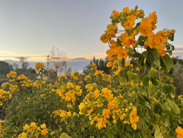 ZIP！HP　キャスターブログ用写真 (4) - コピー.png