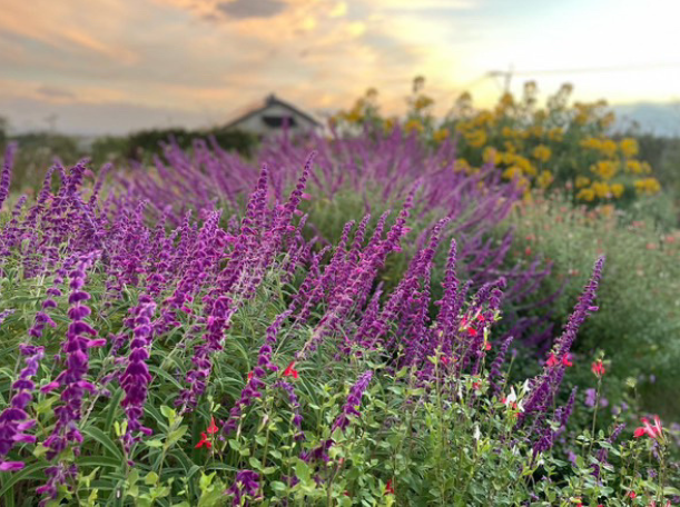 ZIP！HP　キャスターブログ用写真 (4).png