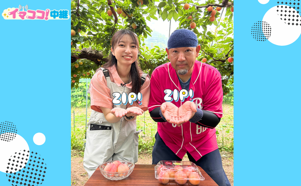 ZIP!くまもと イマココ中継｜ZIP!くまもと-くまもとのあさをちょっと