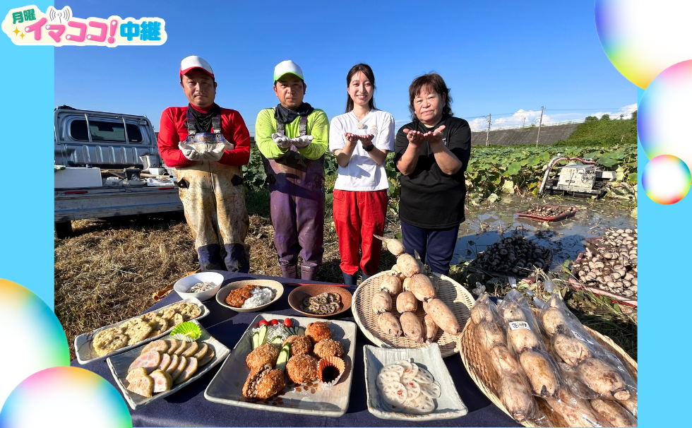 宇城市松橋町の「川島農園」から中継♪