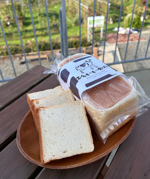 ZIP！HP　キャスターブログ用写真 - コピー.png