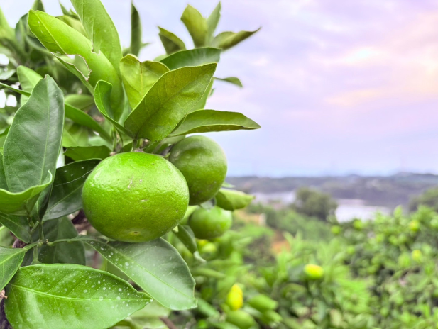 ZIP！HP　キャスターブログ用写真 (3).png